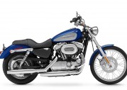 Harley-Davidson XL 1200 C Sportster